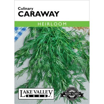 Carum, Caraway Heirloom