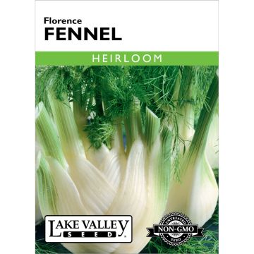 Foeniculum, Fennel 'Florence'