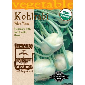 Brassica, Kohlrabi 'Early White Vienna' Organic Heirloom