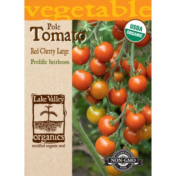 Solanum, Tomato (Pole) 'Red Cherry'