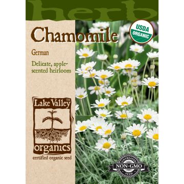 Matricaria, Chamomile 'German' Organic Heirloom