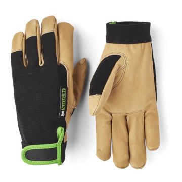 Hestra Golden Kobolt Flex Gloves
