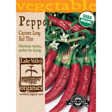 Capsicum, Hot Pepper 'Cayenne' Organic Heirloom