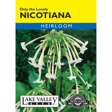 Nicotiana 'Only The Lonely'