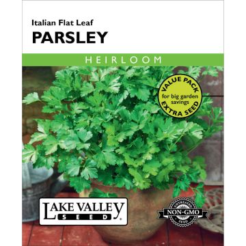 Petroselinum, Parsley 'Italian Flat Leaf' Value Pack