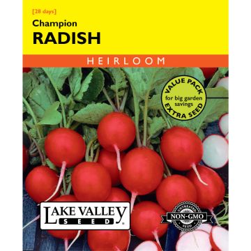Raphanus, Radish 'Champion' Value Pack