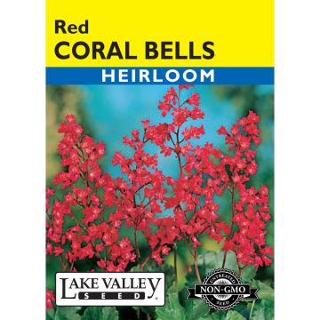 Heuchera, Coral Bells 'Red'