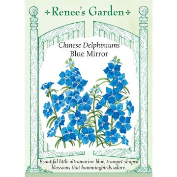 Delphinium, Blue Mirror, ~ 45 seeds