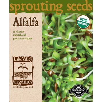 Sprouting Seeds 'Alfalfa'