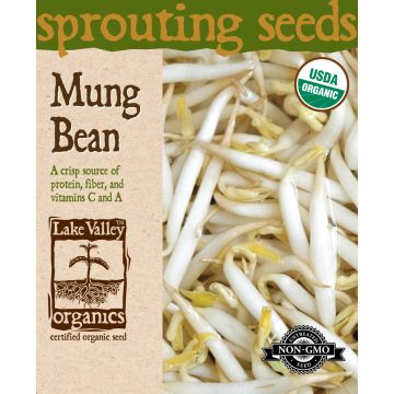 Sprouting Seeds 'Mung Bean'