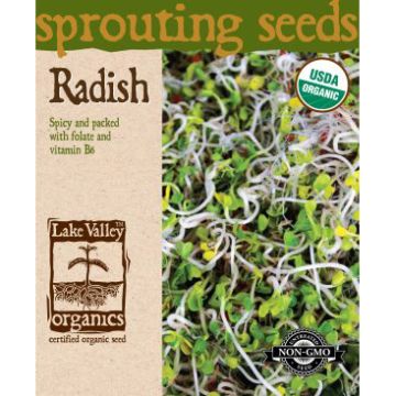 Raphanus, Radish 'Sprouting Seeds' 