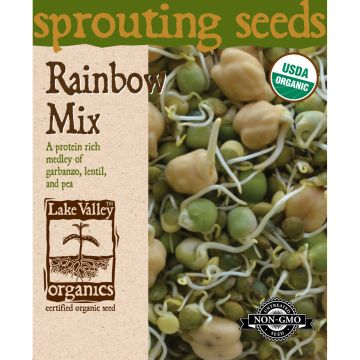 Sprouting Seeds 'Rainbow Mix' (Garbanzo, Lentil, Pea)