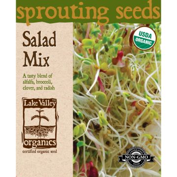 Sprouting Seeds 'Salad Mix' (Alfalfa, Broccoli, Clover, Radish)