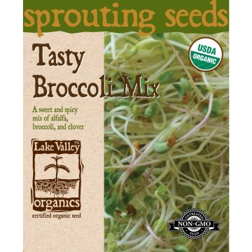 Sprouting Seeds 'Tasty Broccoli Mix' (Alfalfa, Broccoli, Clover)