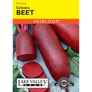 Beta, Beet 'Cylindra' Heirloom