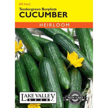Cucumis, Cucumber 'Tendergreen' Burpless 