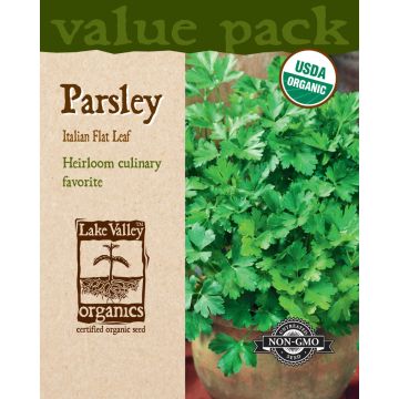 Petroselinum, Parsley 'Italian Flat Leaf' Value Pack