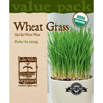 Triticum, Wheat Grass 'Hard Red Winter' Value Pack