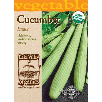 Cucumis, Armenian Cucumber Organic Heirloom