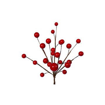 Holiday Mini Red Berry Pic