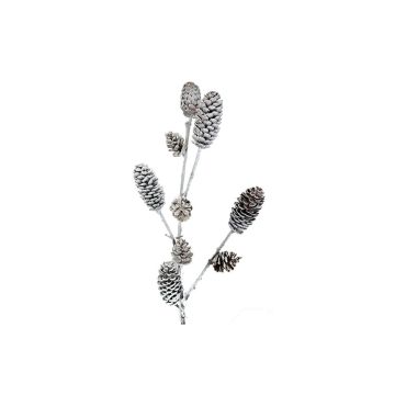 Frosted Pinecone Branch