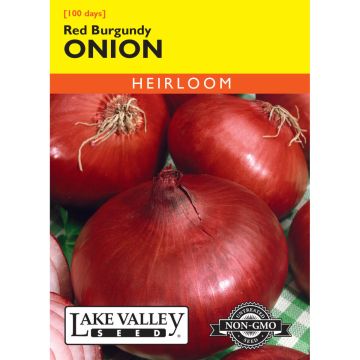Allium, Onion Red 'Burgundy' (Short Day)