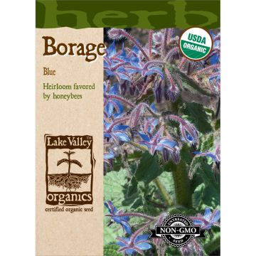 Borago, Borage Organic Heirloom
