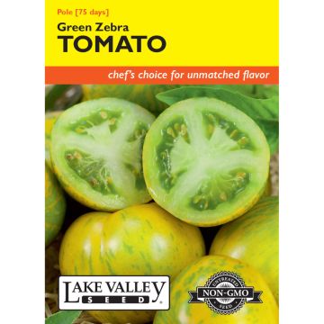 Solanum, Tomato (Pole) 'Green Zebra'