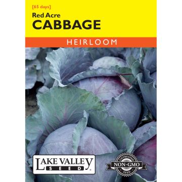 Brasscia, Cabbage 'Red Acre'