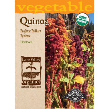 Chenopodium, Quinoa Mix 'Brightest Brilliant Rainbow' Organic