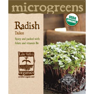 Microgreens, Radish 'Daikon'