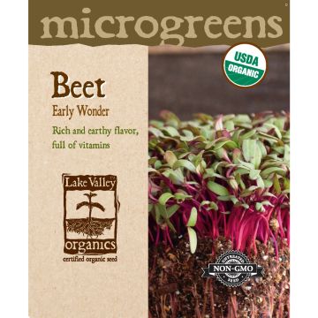 Microgreens, Beet 'Early Wonder'