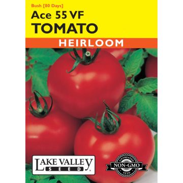 Solanum, Tomato (Bush) 'Ace 55' VF