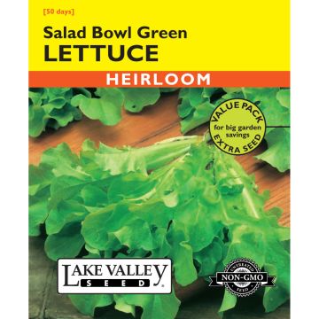 Lactuca, Lettuce 'Salad Bowl Green' Value Pack