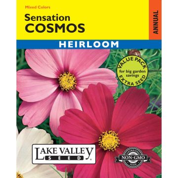 Cosmos 'Sensation' Mixed Colors Value Pack