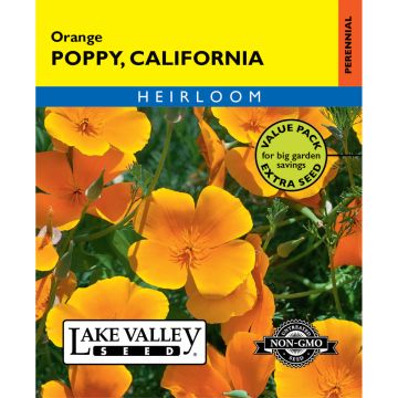 Eschscholzia, California Poppy 'Orange' Value Pack