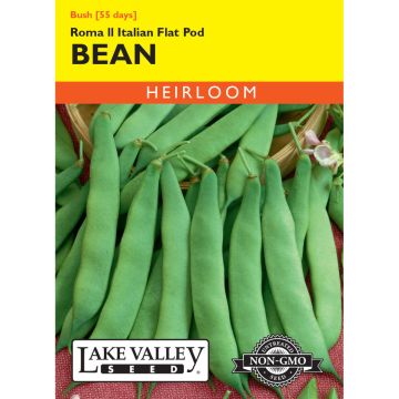 Phaseolus, Bean (Bush) Roma II Italian Flat Pod