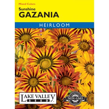 Gazania 'Sunshine' Mixed Colors