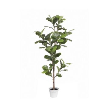 Algreen Alpine Ficus Faux Greenery