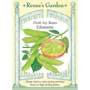 Glycine, Soy Bean 'Edamame' ~ 22 seeds