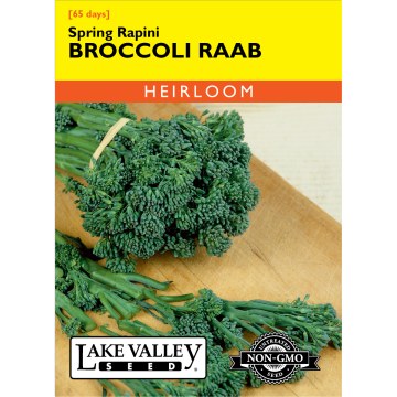 Brassica, Broccoli Raab 'Spring Rapini' Heirloom