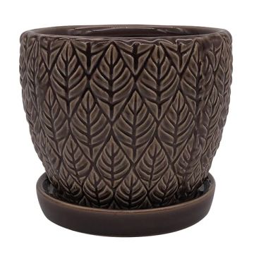 BORDER CONCEPTS Sherborn Glazed Planter with Attached Saucer 'Crocodile'