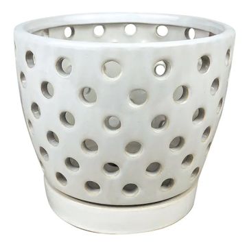 BORDER CONCEPTS Orchid Pot with Attached Saucer 'Pierced' White