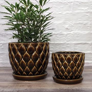 BORDER CONCEPTS Cassia Pot with Attached Saucer 'Chestnut'