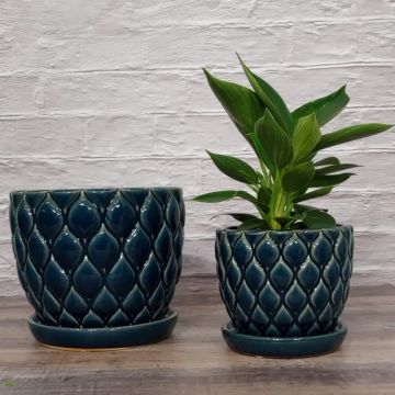 BORDER CONCEPTS Cassia Pot with Attached Saucer 'Aegean Blue'