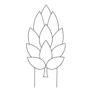 BORDER CONCEPTS Trellis 'Hop'