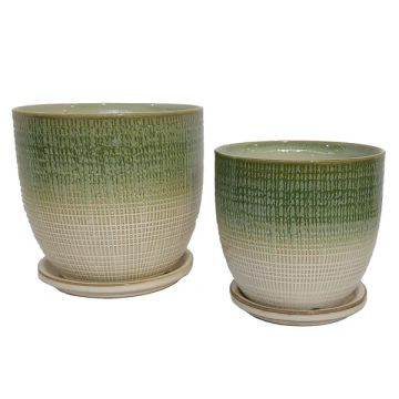 BORDER CONCEPTS Beatrice Etched Planter with Attached Saucer 'Spring Green'