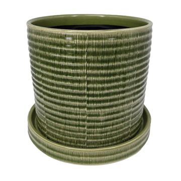 BORDER CONCEPTS Burin Etched Pot with Attached Saucer 'Grass Green'