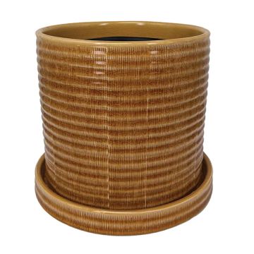 BORDER CONCEPTS Burin Etched Pot with Attached Saucer 'Ochre'