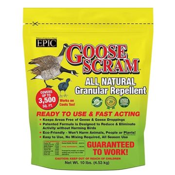 Goose Scram